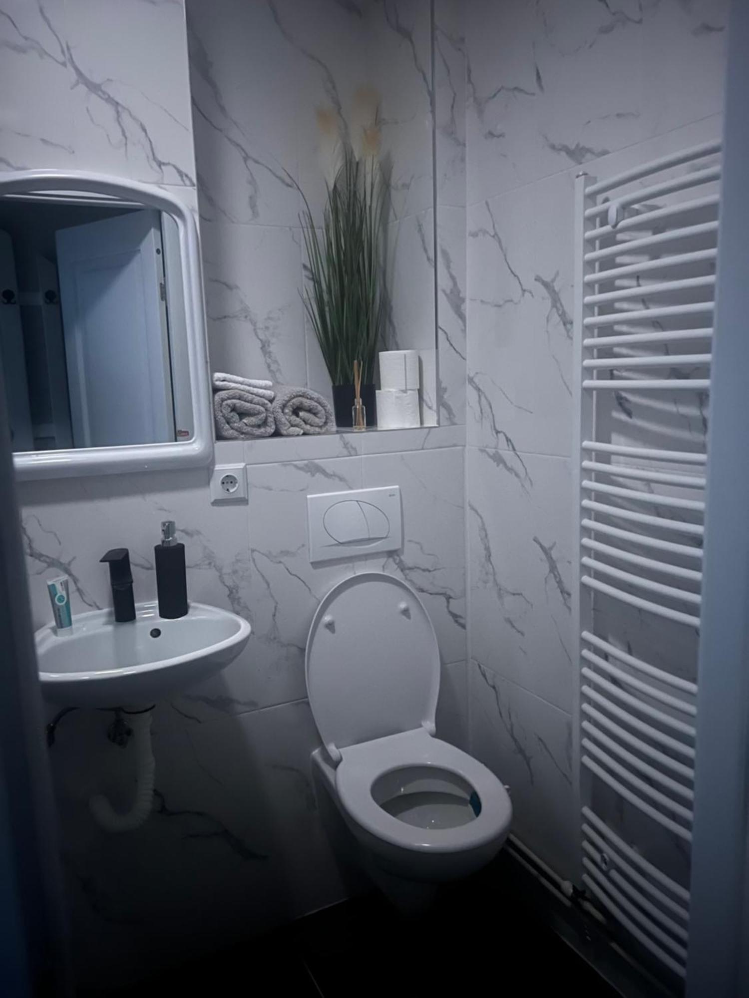 Apartament 2 Camere Nagybánya Kültér fotó